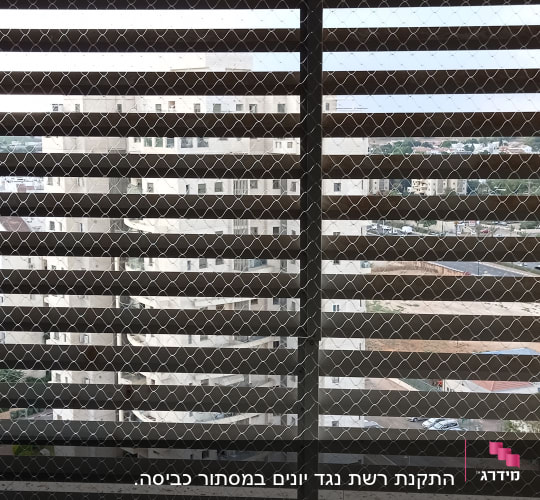 רשת מתכת על חלון למניעת כניסת יונים
